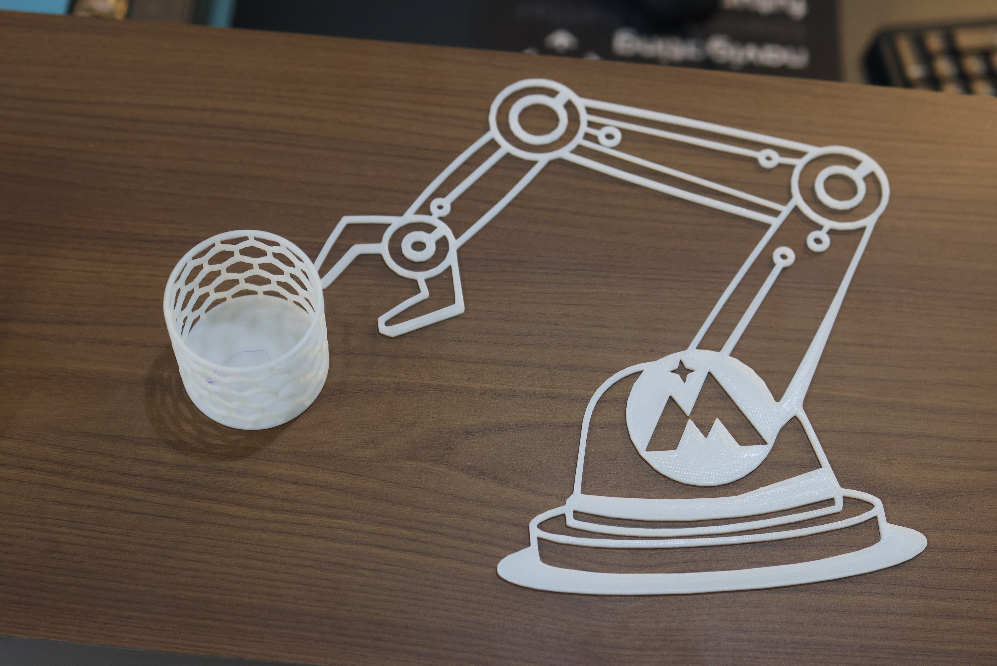 Various 3D printed objects created at MittyVerse STEAM lab Gurugram